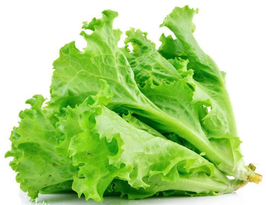 Салат зелений свіжий листковий, другого товарного сорту, ДСТУ 8107, 1 кг